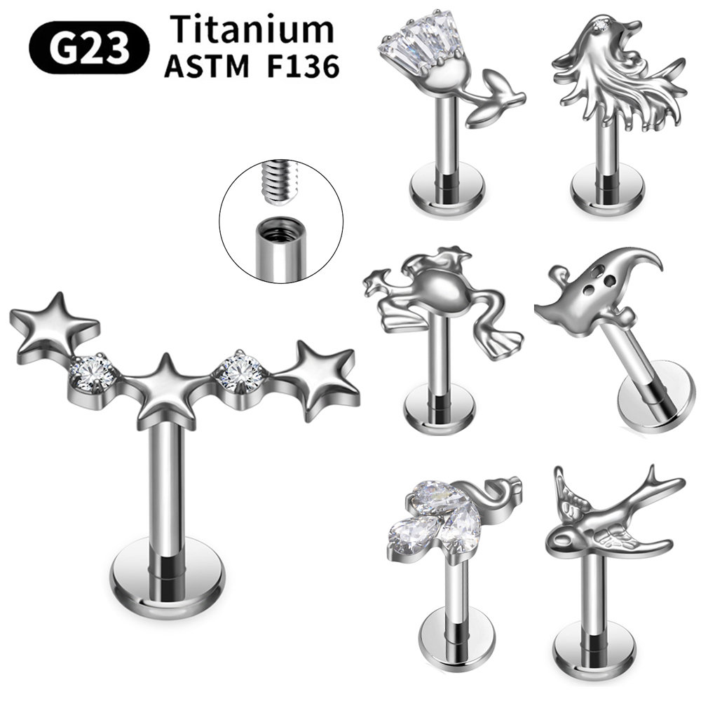 ASTM F136 G23 Titanium Piercin - огляд і ціна Body Jewelry Changing Kit