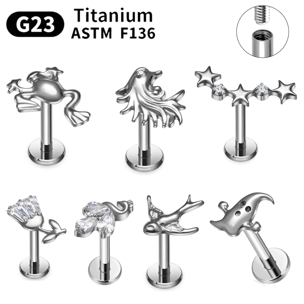 ASTM F136 G23 Titanium Piercin - огляд і ціна Body Jewelry Changing Kit