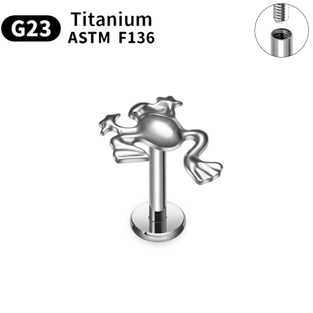 ASTM F136 G23 Titanium Piercin - огляд і ціна Body Jewelry Changing Kit